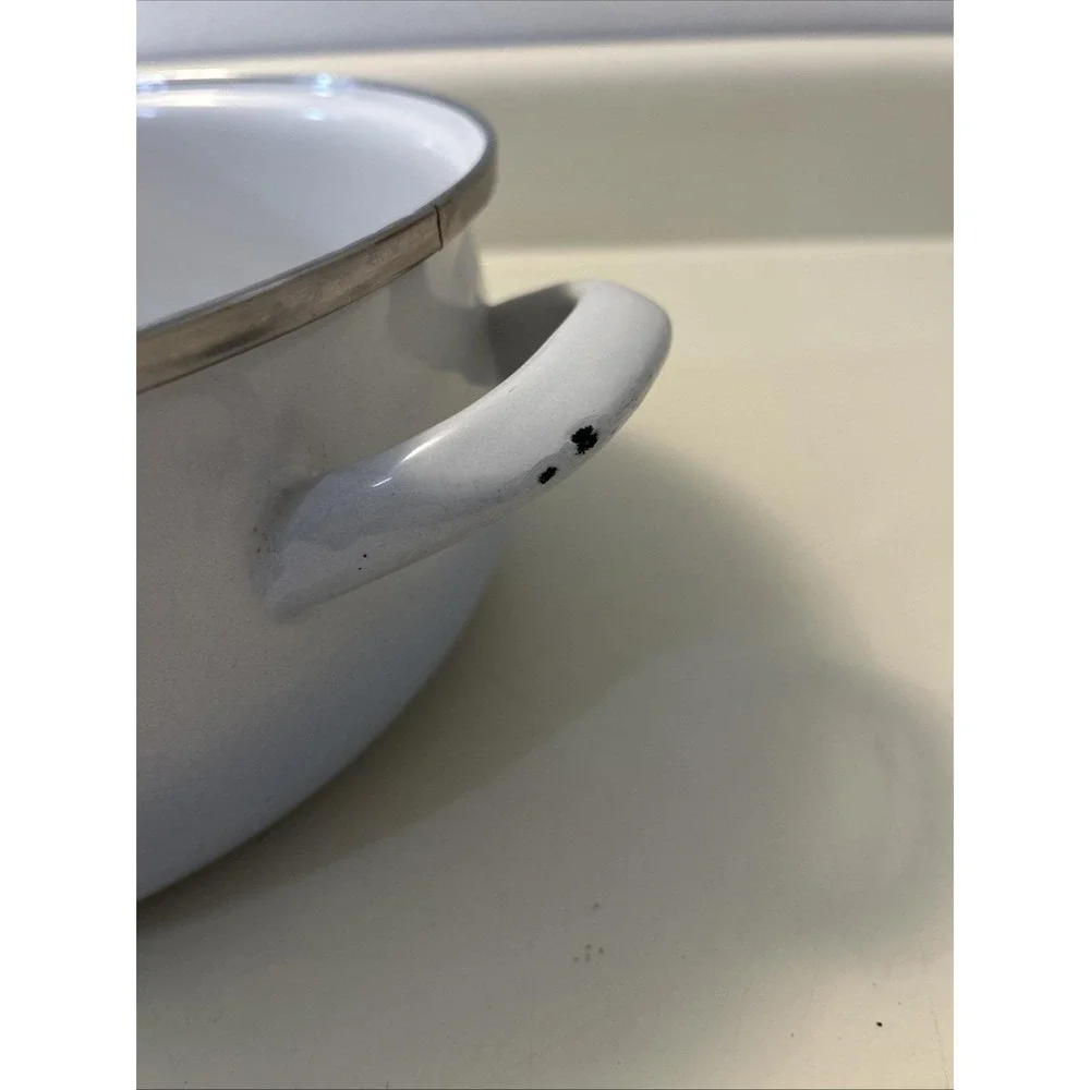 Vtg Crowning Touch Spring Harvest Blossom Porcelain Enamel Cookware Pot 8.5 READ